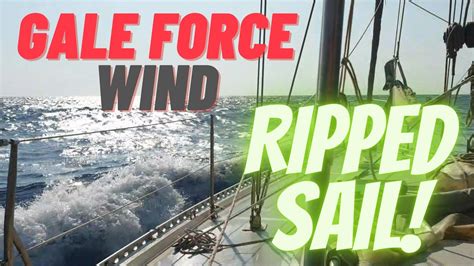 Gale Force Winds & Damaged Sails - Ep 50 - Sailing With Thankfulness