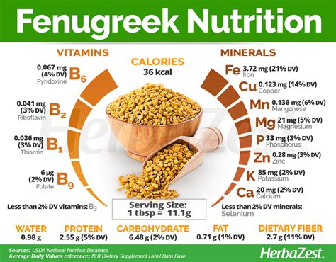 Fenugreek | HerbaZest