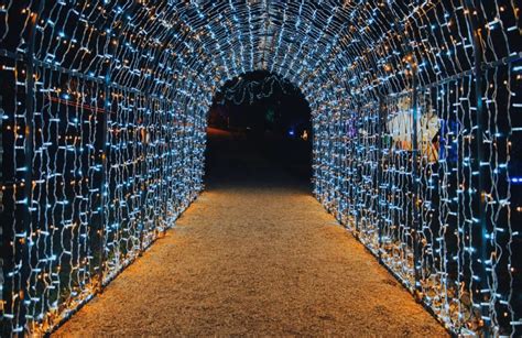 Top 10 Christmas Lights in Orlando You MUST See in 2023! - Florida Hipster