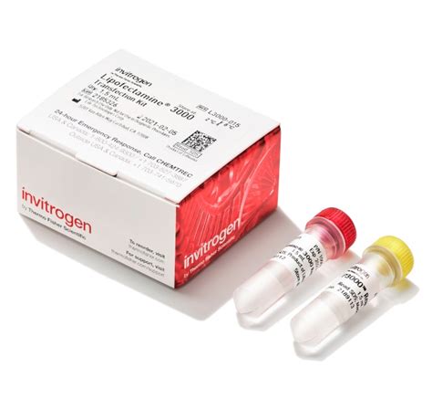 Lipofectamine™ 3000 Transfection Reagent