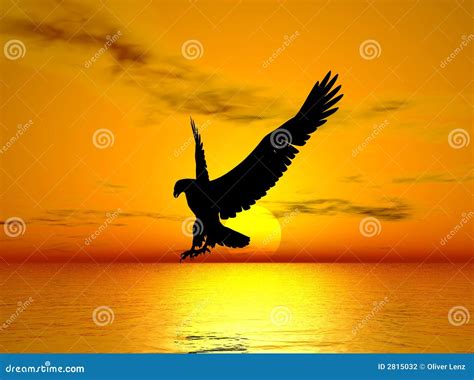 Eagle Flying At Ocean Sunset Stock Photography - Image: 2815032