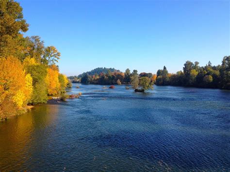 THE 10 BEST Things to Do in Eugene (2024) - Must-See Attractions