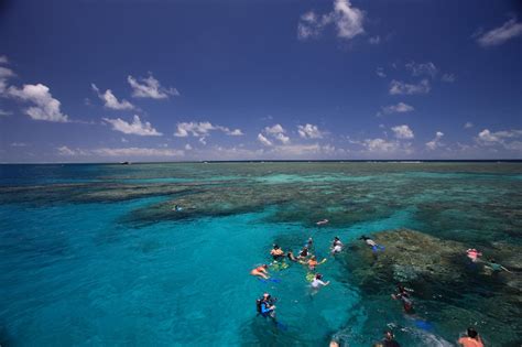 Port Douglas Snorkel & Dive Trip | Great Barrier Reef Luxury Tour