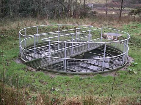 Sedimentation tank | water treatment | Britannica.com