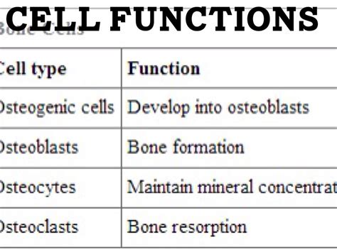 Bone Cells by Mia Sassenrath