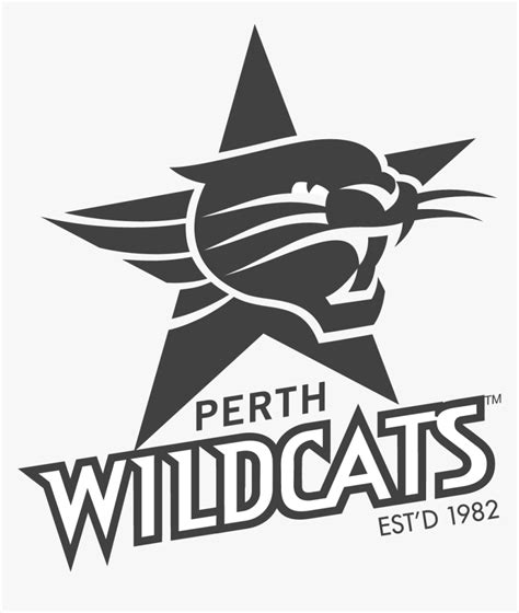 Holman Perth Wildcats Competition - Perth Wildcats Logo White, HD Png Download - kindpng