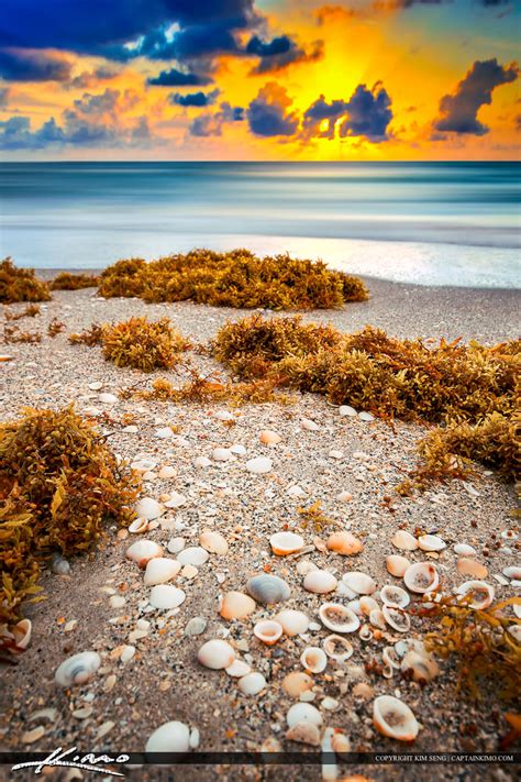 Beach Wall Art Photography Scene Florida Sunrise | Royal Stock Photo