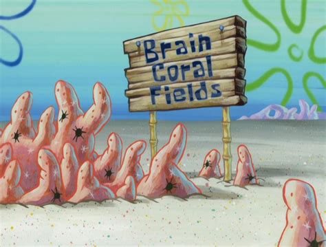 Brain Coral Fields | Encyclopedia SpongeBobia | Fandom