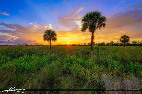 Images Of Florida Landscapes - Image to u