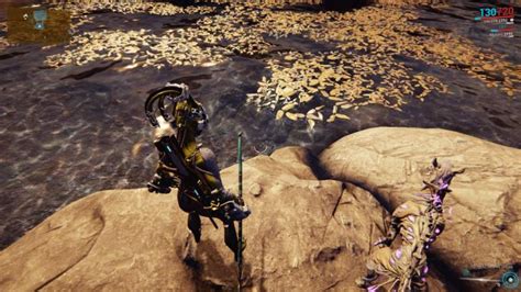 A Complete Warframe Fishing Guide in 2020 - Widget Box