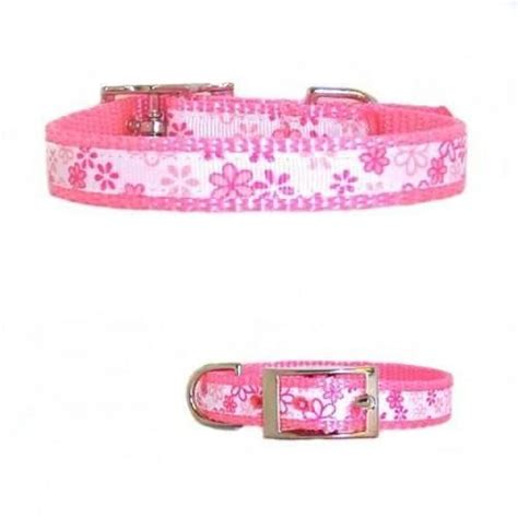 two pink dog collars with flowers on them