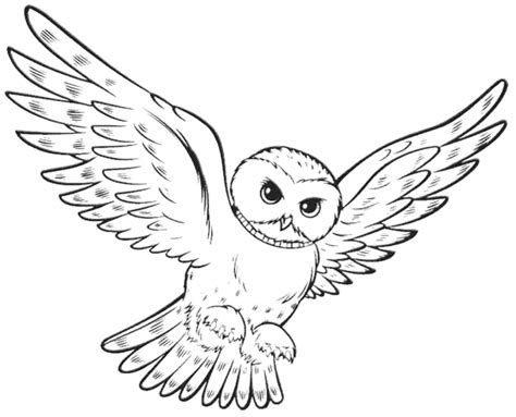 Owl Coloring Pages at GetColorings.com | Free printable colorings pages ...