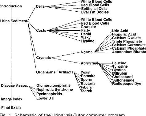 Figure 1 from Teaching the microscopic examination of urine sediment to second year medical ...