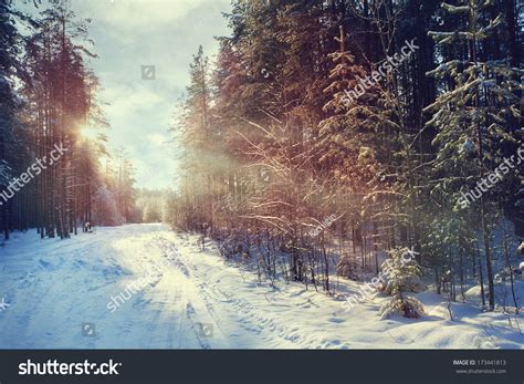 66,159 Winter forest germany Images, Stock Photos & Vectors | Shutterstock