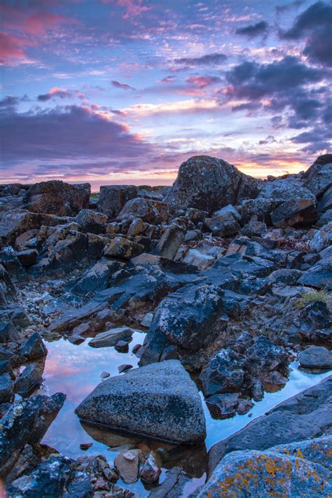 A Tree Falling: Galway Coast