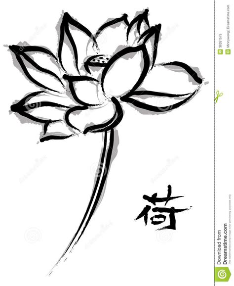 Lotus In Chinese Painting Style Stock Illustration - Illustration of ...