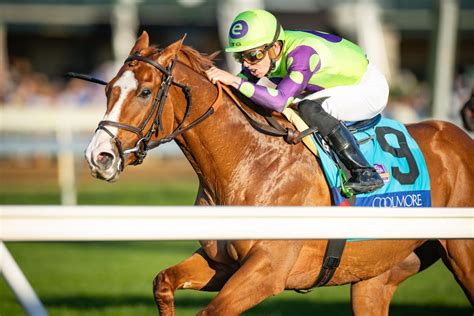 Carl Spackler Ready To 'Gopher' The Gold In Breeders' Cup Mile