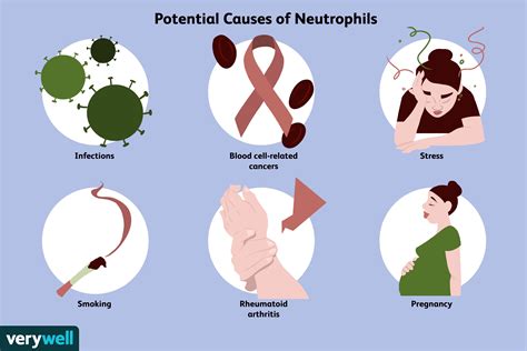 Neutrophils Function and Abnormal Results