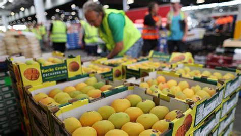 Rocklea markets want to enjoy some nightlife | The Courier-Mail