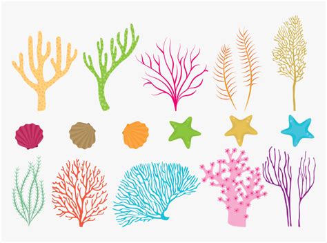 Clip Art Coral Reef Vector - Coral Reef Vector Png, Transparent Png ...