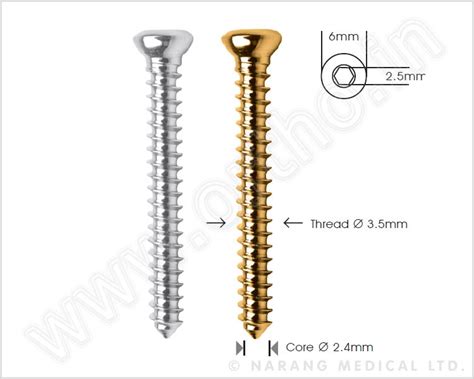 Bone Screws - Standard Implants, Bone Screws - Standard Implants Manufacturer, Bone Screws ...