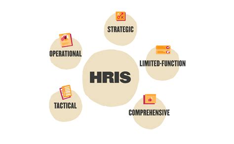 Types of HRIS systems you should know about | HiBob