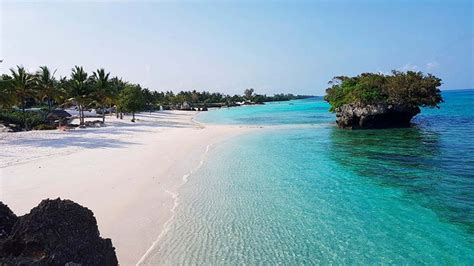 Pemba Island: A Complete Guide - Air Charter and Scheduled Flights in ...