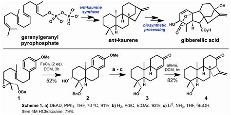 modern steroid science: Baran's Total Synthesis of Racemic Steviol, the Aglycone of Stevia's ...