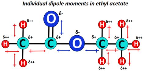 Is Ethyl Acetate Polar or Nonpolar? – (Polarity of Ethyl Acetate)