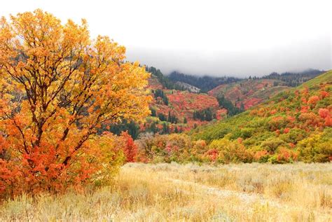 10 top spots for Utah’s fall colors - The Salt Lake Tribune