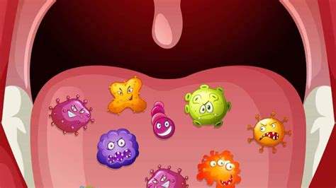 Bacteria in our mouths! Why do we have bacteria in our mouths and what type of bacteria live ...