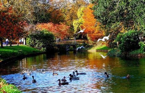 Autumn in Sefton Park | Places to visit, Beautiful park, Liverpool home