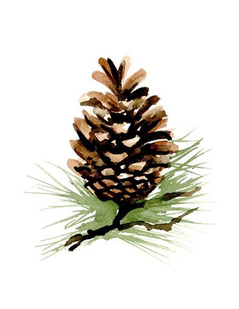 Pine Cone Art Print Wall Decor Watercolor Painting - Etsy Ireland | Tannenzapfen kunst, Einfache ...