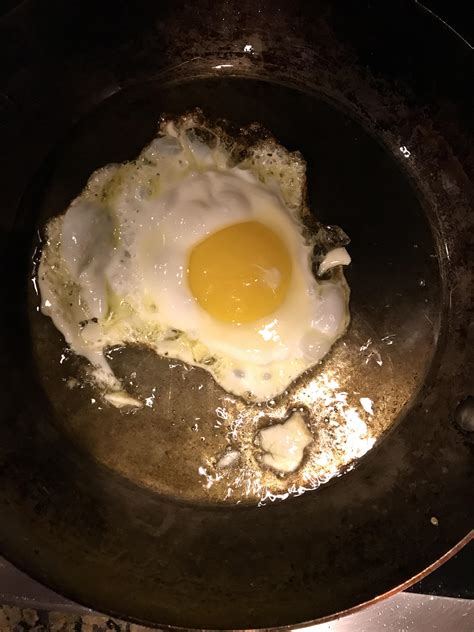 Egg Australia 2 : r/australia