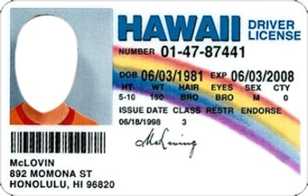 McLovin's ID card - FACEinHOLE