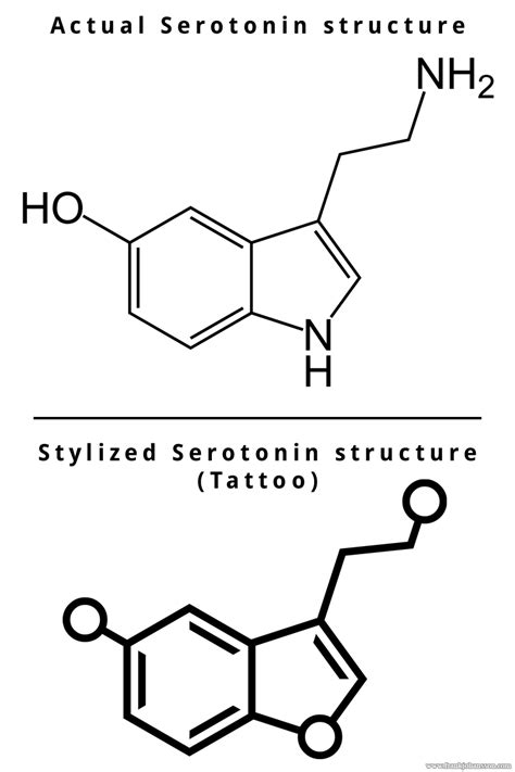 My Serotonin Tattoo | Frank Lumien