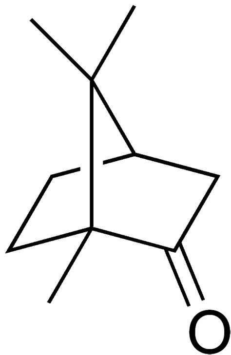 File:Camphor structure.png - Wikimedia Commons