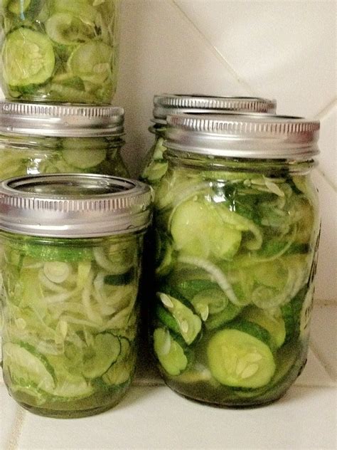 Freezer Pickles | Canning food preservation, Freezer pickles, Pickles