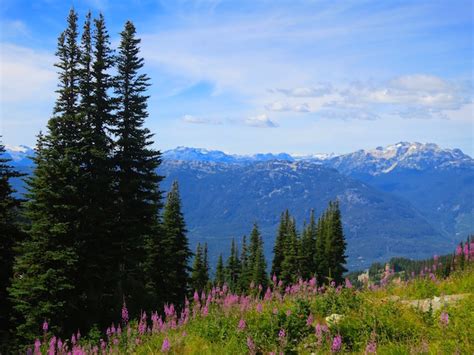 Peak to Peak Whistler Gondola