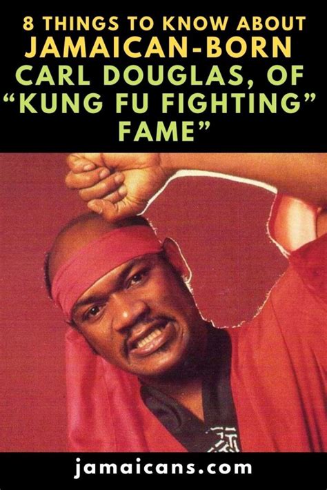 Kung fu fighter song - davidberlinda