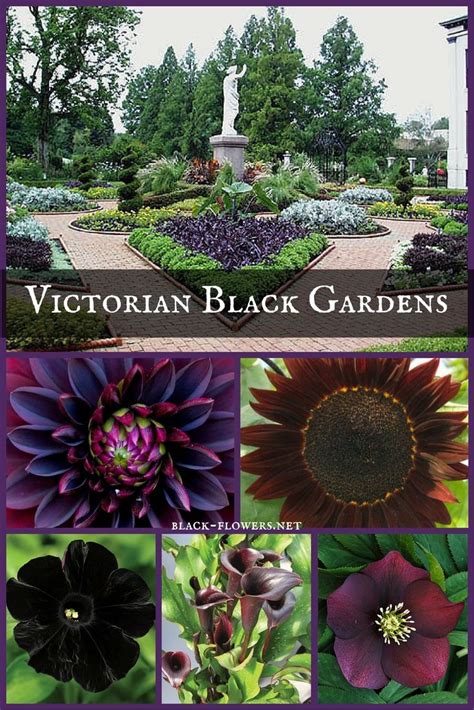 Victorian Black Gardens | Black garden, Gothic garden, Goth garden