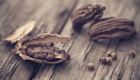 Black cardamom stock photo. Image of bengal, fruit, subulatum - 230147202