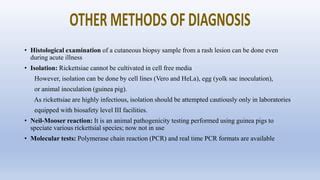 RICKETTSIAL INFECTION.pptx