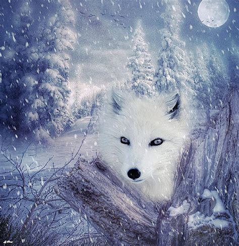 Arctic Fox Mixed Media by Gayle Berry - Fine Art America