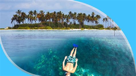 Exploring The Best Snorkeling Spots in the Maldives