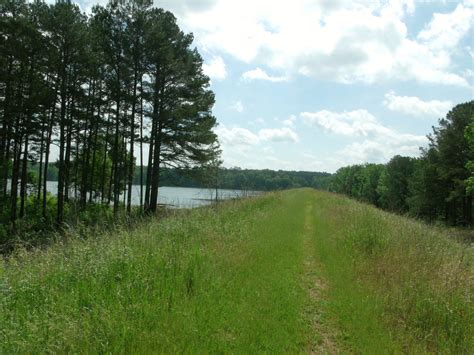 Holly Springs National Forest Located In MS Holly Springs, Life Moments ...