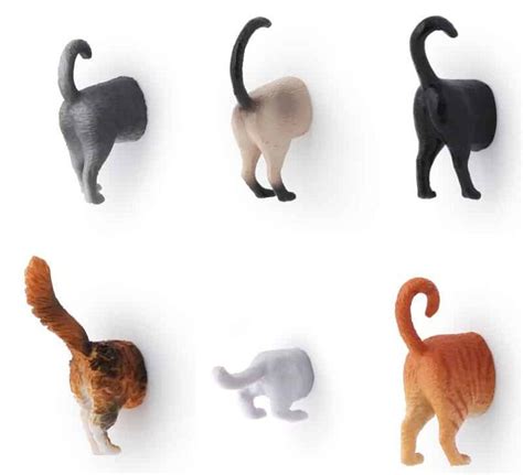 Decorate Your Fridge With These Cute Cat Butt Magnets | LaptrinhX / News