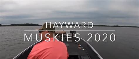 HAYWARD Wisconsin Muskies 2020 (Hayward muskie fishing) | MuskieFIRST