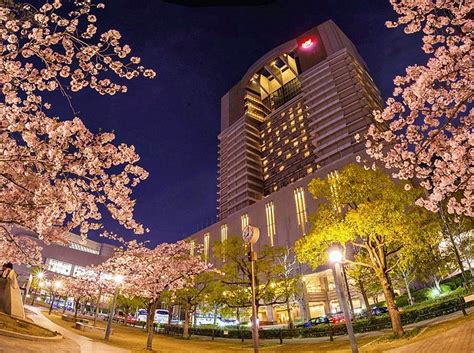 14 Top-Rated Places to Stay in Osaka | PlanetWare