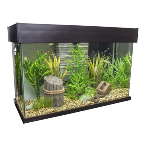 Best 30 Gallon Fish Tank Kits of 2022 | (29-30 gallon)